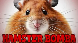 Hamster Bomba