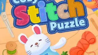 Cozy Stitch Puzzle - Switch
