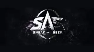 Sneak And Seek