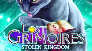 Lost Grimoires: Stolen Kingdom - Switch