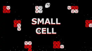 Small Cell