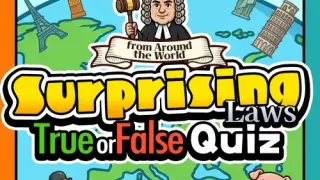 Surprising Laws Around the World True or False Quiz - Switch