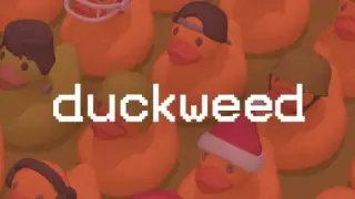 Duckweed - Switch