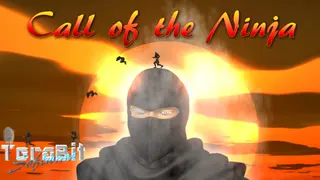 Call of the Ninja!