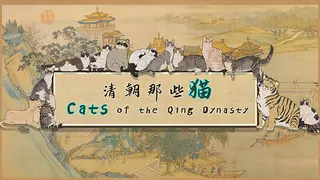 Cats of the Qing Dynasty