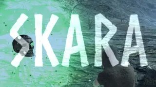Skara