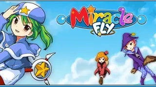 Miracle Fly