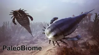 Paleobiome