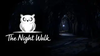 The Night Walk