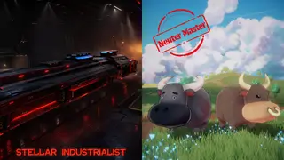 Stellar Industrialist & Neuter Master