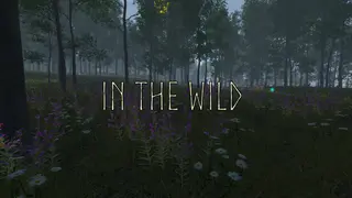 In the Wild