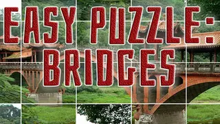 Easy puzzle: Bridges