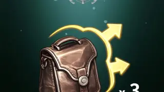 Inventory Expansion(3) - PS4