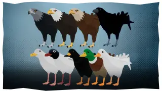 Rooftops and Alleys: The Parkour Game - Bird Pack DLC - Xbox Series