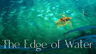 The Edge of Water