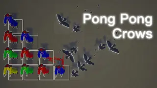 Pong Pong Crows