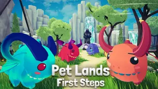 Pet Lands: First Steps