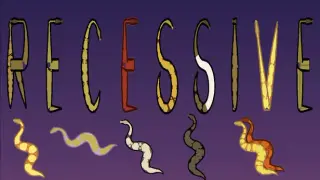 Recessive