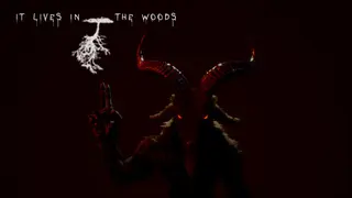 ItLivesInTheWoods