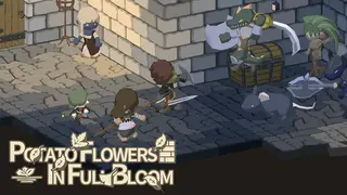 Potato Flowers in Full Bloom