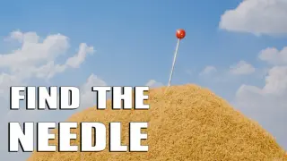 Find The Needle