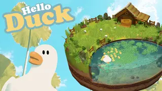 Hello Duck