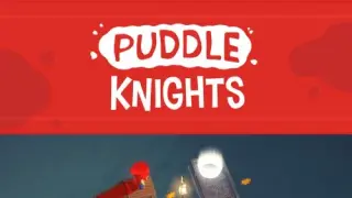 Puddle Knights - Switch