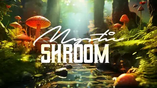 Mystic Shroom