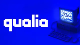 qualia