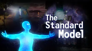 The Standard Model