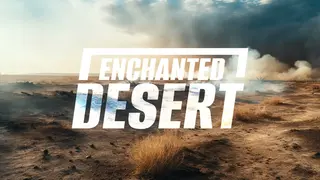 Enchanted Desert