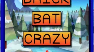 Brick Bat Crazy - Switch