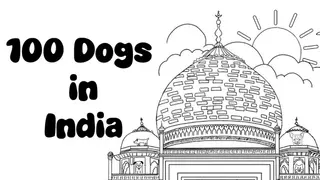 100 Dogs in India