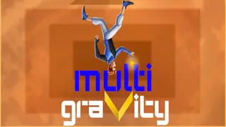 Multigravity