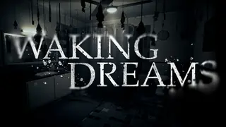 Waking Dreams