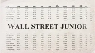 Wall Street Junior