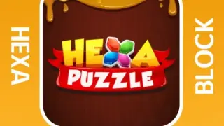 Hexa Puzzle Block - Switch
