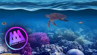 AAA Dynamic Scenes - Coral Kingdom Dynamic Scene - PS4 & PS5