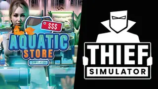 Thief in Aquatic Store