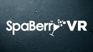 SpaBerry VR Experience