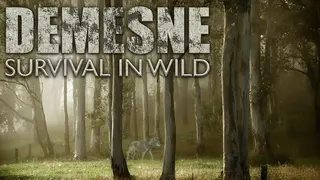 Demesne