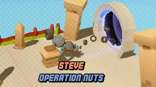 Steve : Operation Nuts