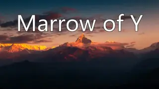 Marrow of Y