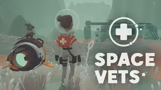 Space Vets