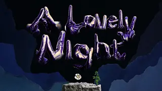 A Lovely Night