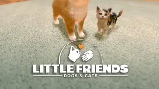 Little Friends: Dogs & Cats - Switch