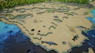 Empires of the Undergrowth