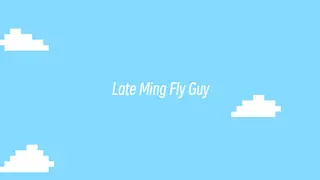 Late Ming Fly Guy