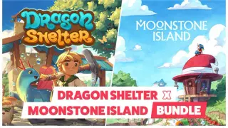 Dragon Shelter x Moonstone Island