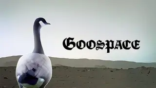 Goospace